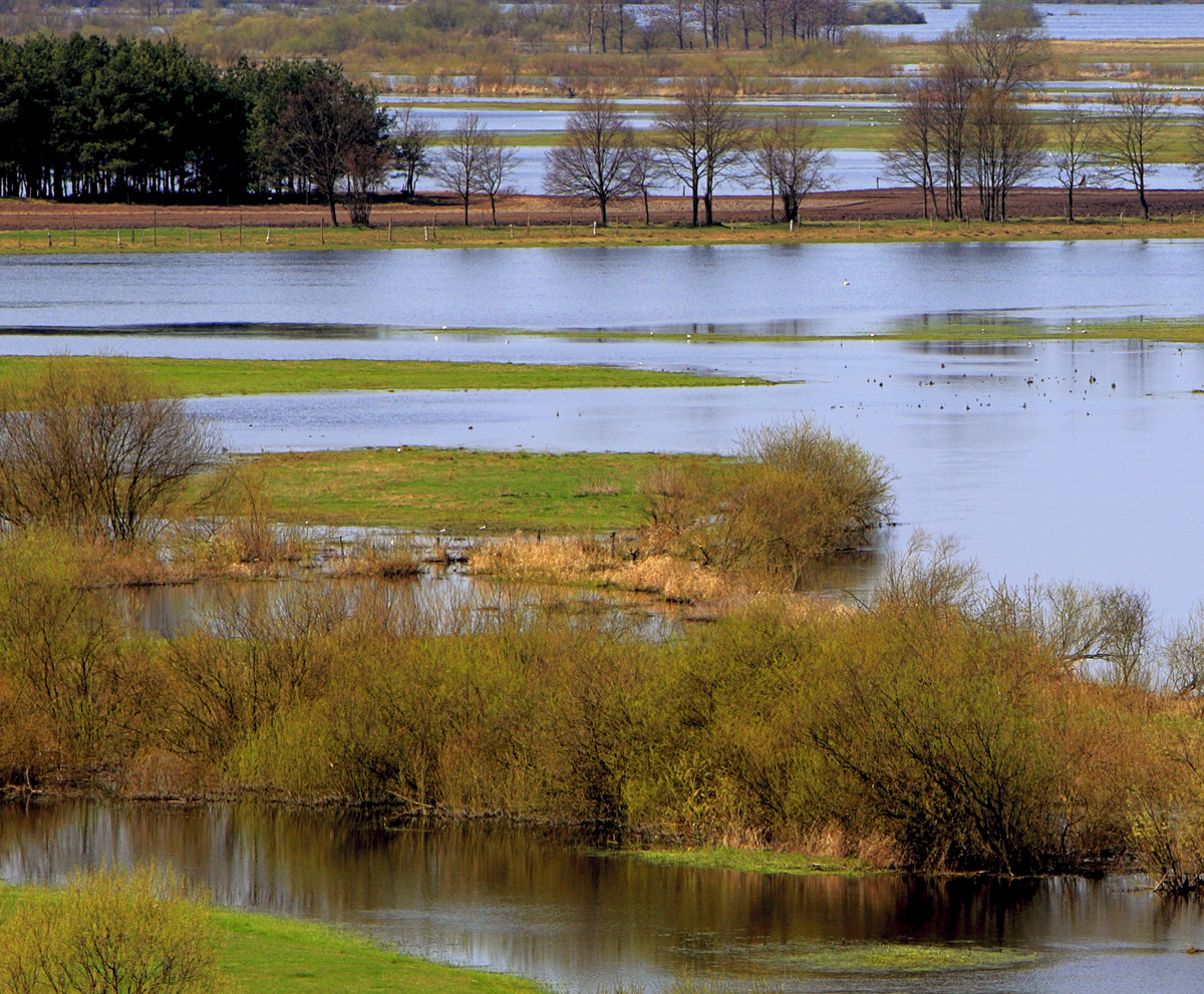 Oppervlaktewatermodellering Blauwhuisbeek Oppervlaktewatermodellering Blauwhuisbeek